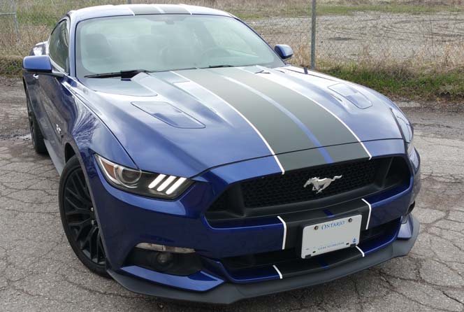 mustang stripe3